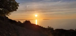 Photo 23- click for photo gallery